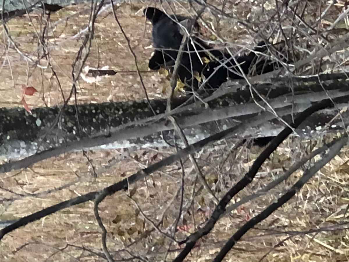 [image]