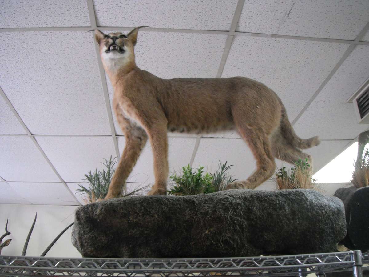 [image]