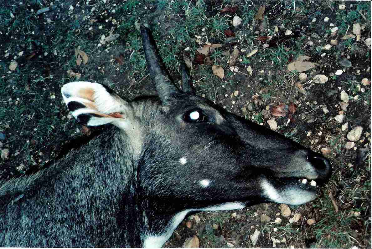 [image]