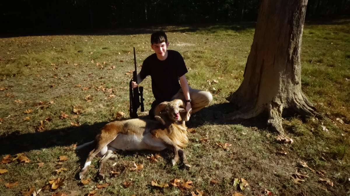 [image]
