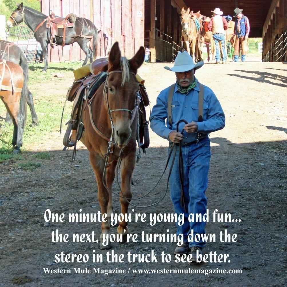[image]