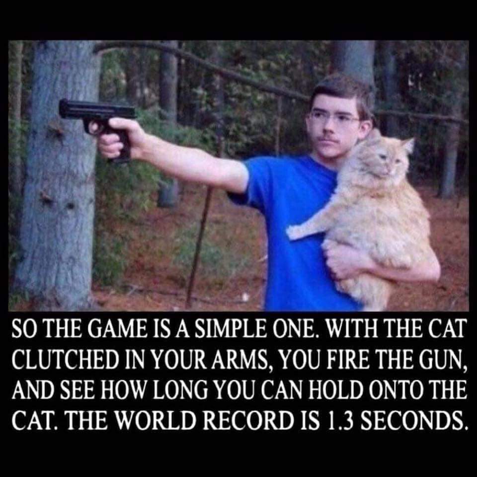 [image]