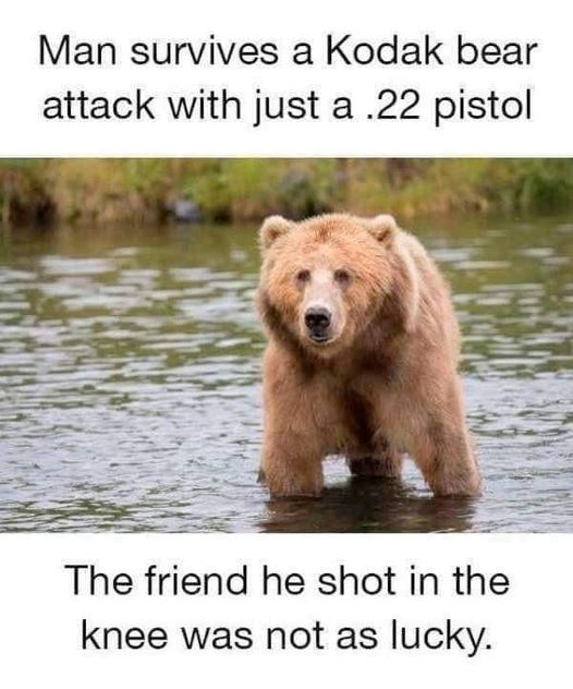[image]