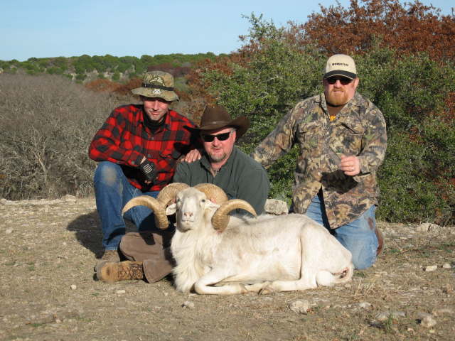 [image]
