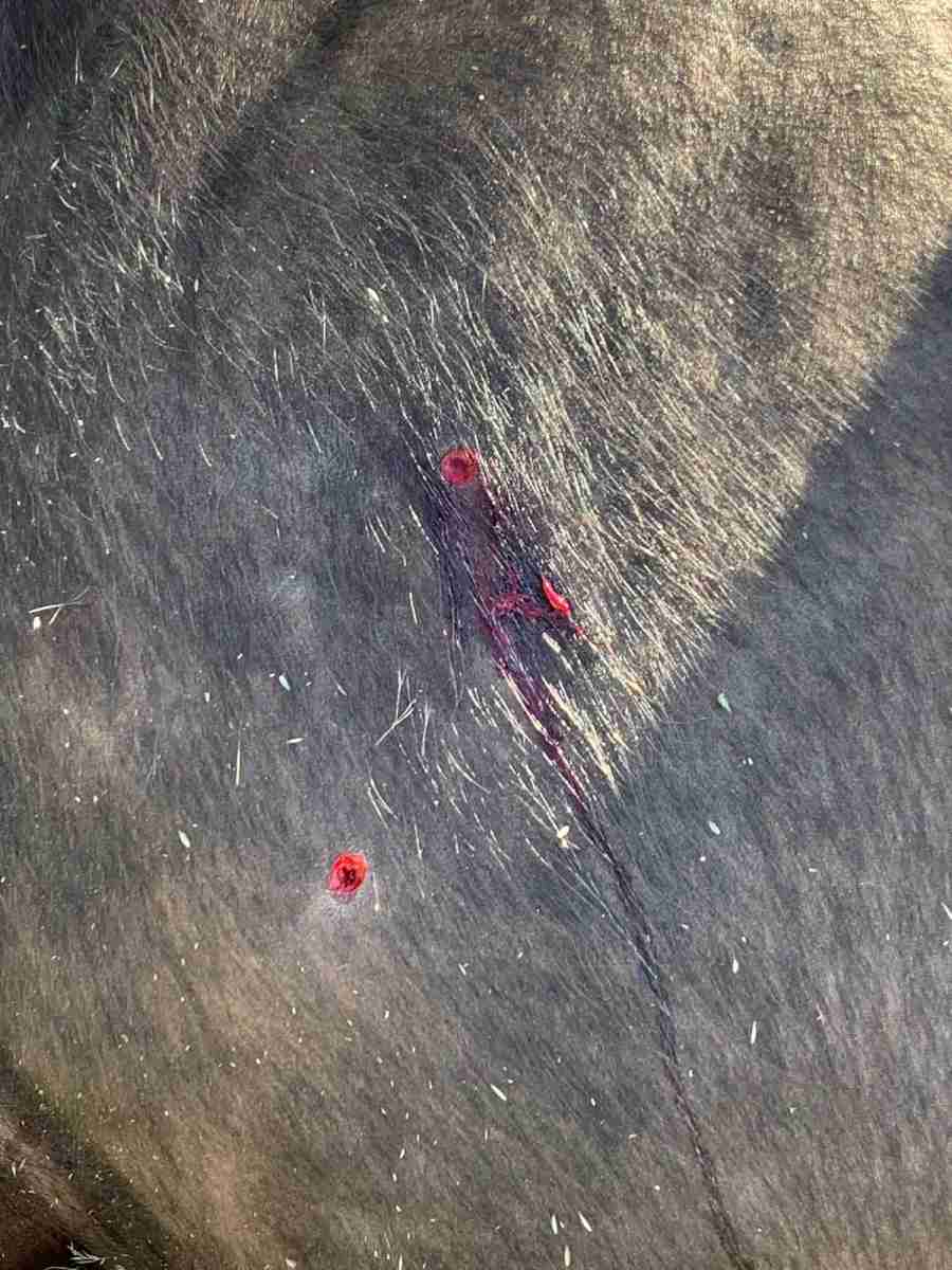 [image]