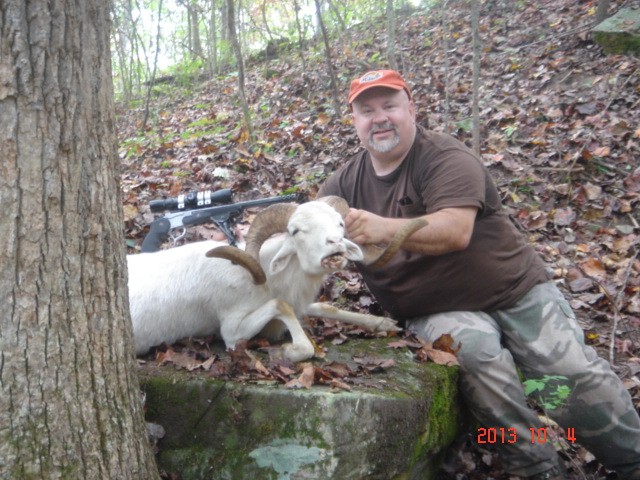 [image]