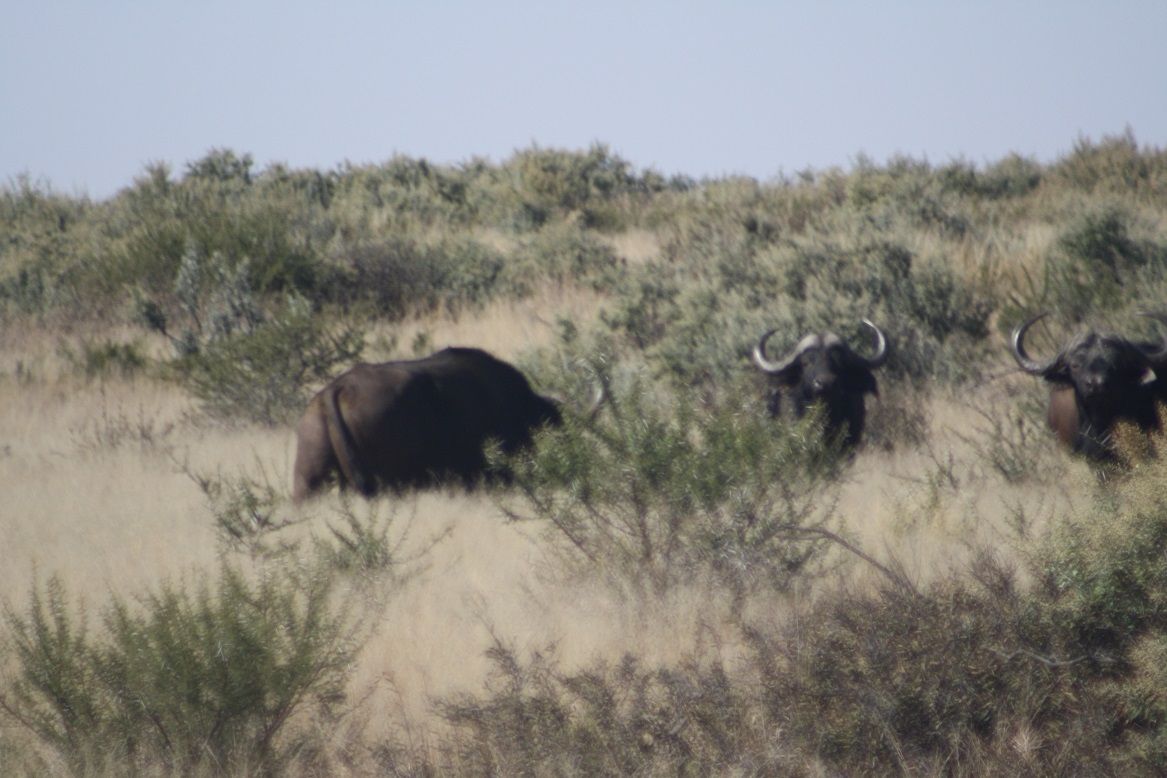 [image]