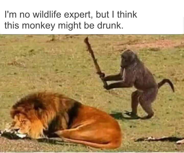 [image]
