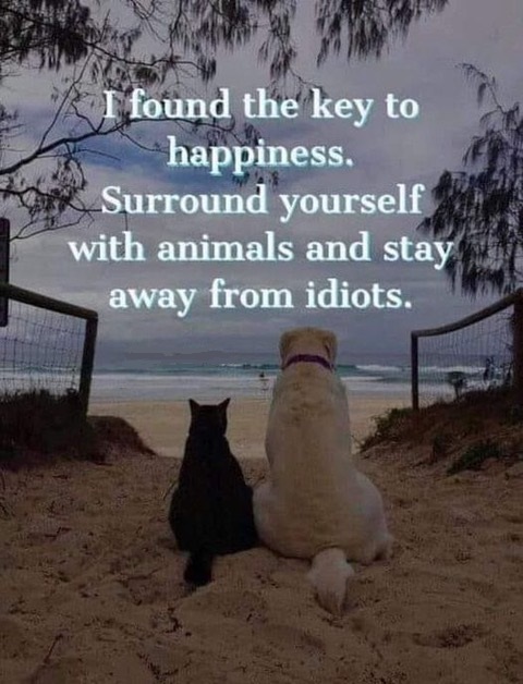 [image]