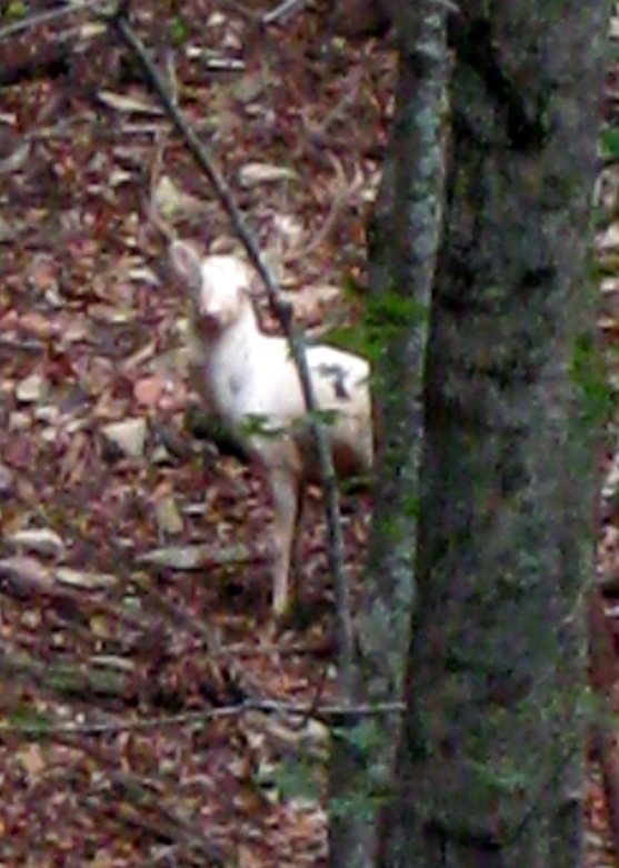 [image]