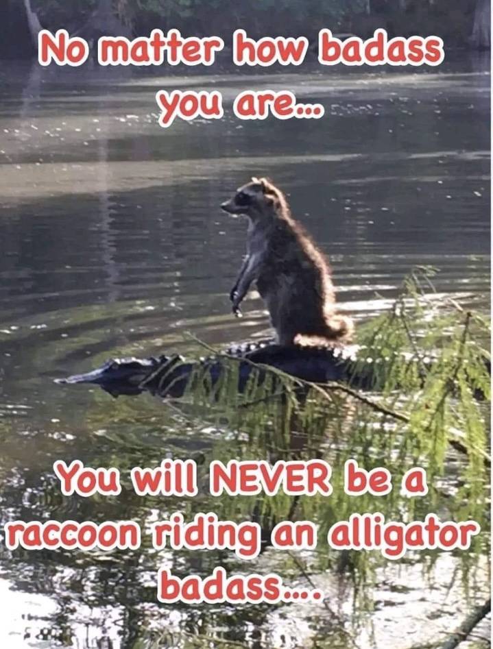 [image]