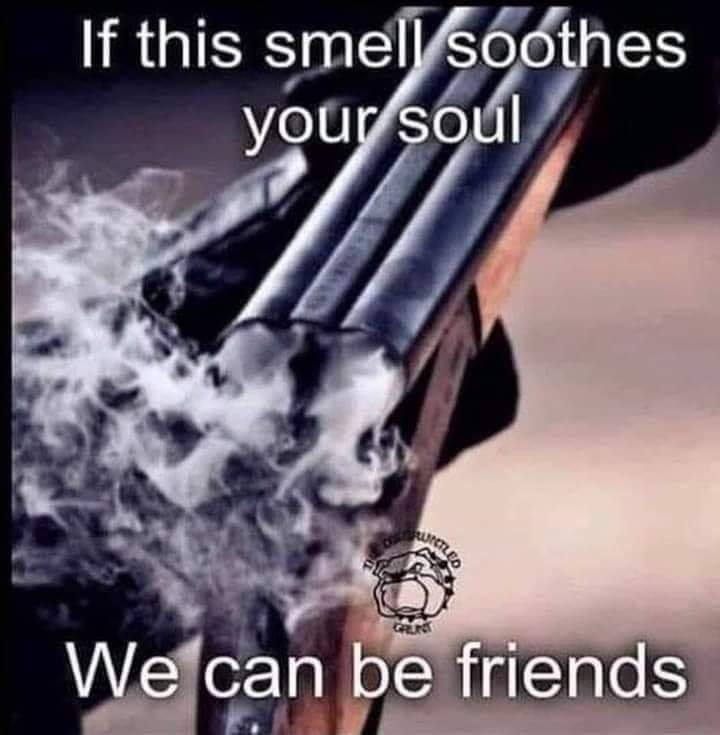 [image]
